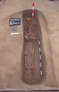 Click to zoom the picture.